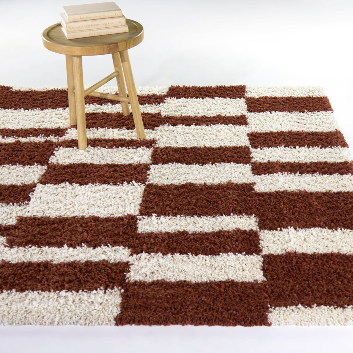 Grissom Checkered Shag  Area Rug