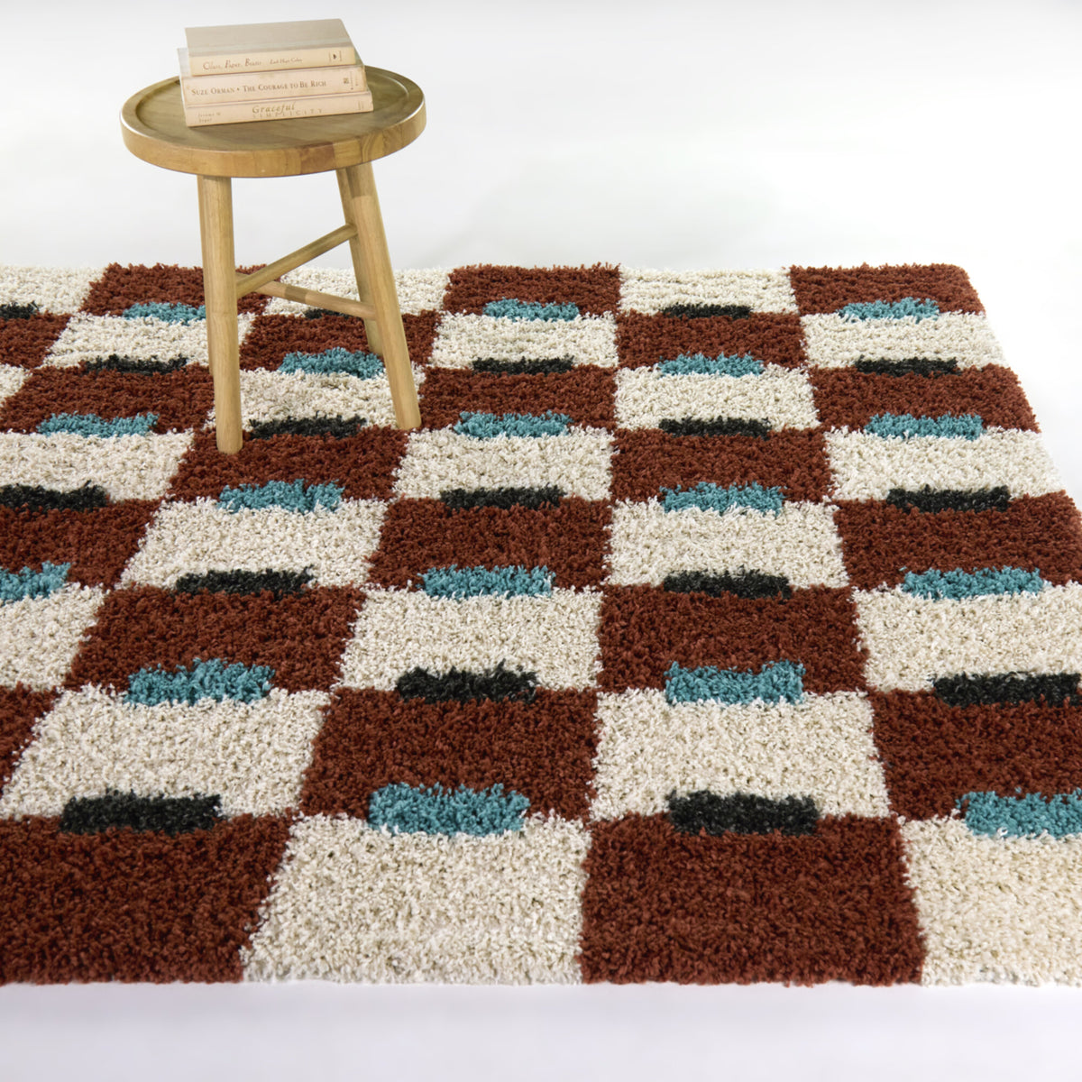 Hammes Checkered Shag  Area Rug