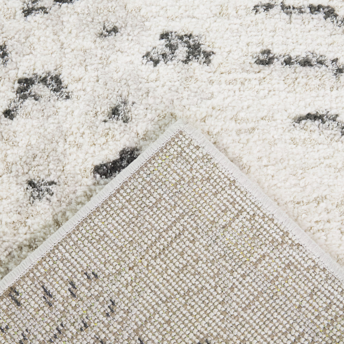 Floral Transitional Area Rug