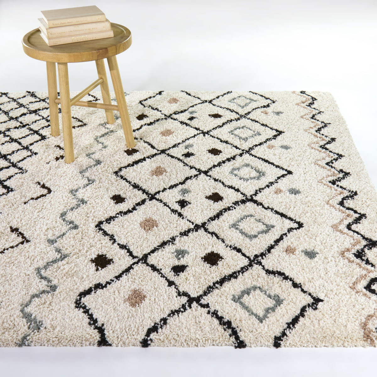 Catrin Moroccan Trellis Shag Area Rug