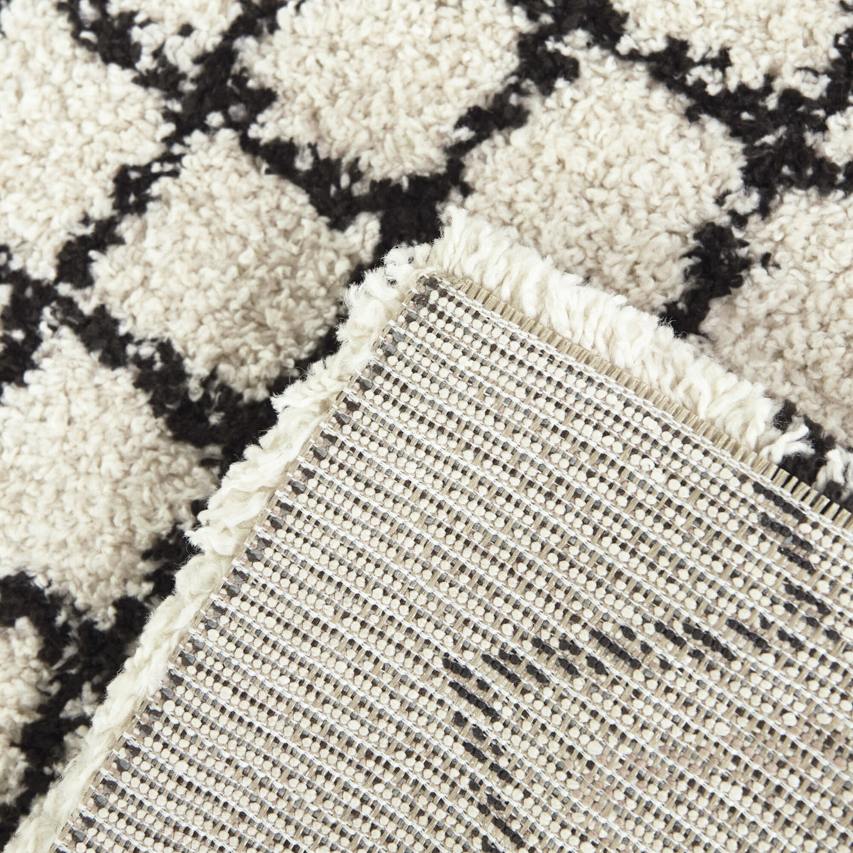 Catrin Moroccan Trellis Shag Area Rug