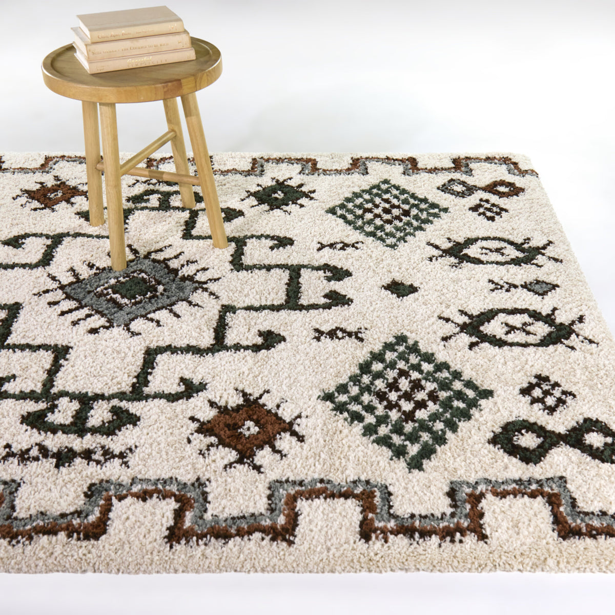 Felipe Southwestern Shag Area Rug