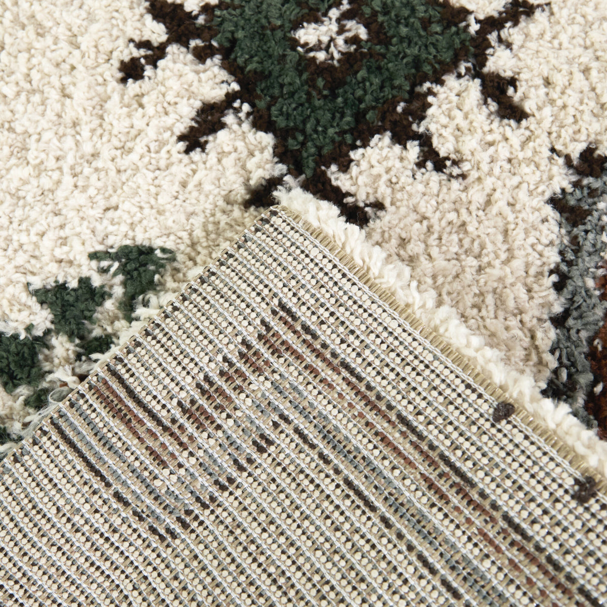 Felipe Southwestern Shag Area Rug