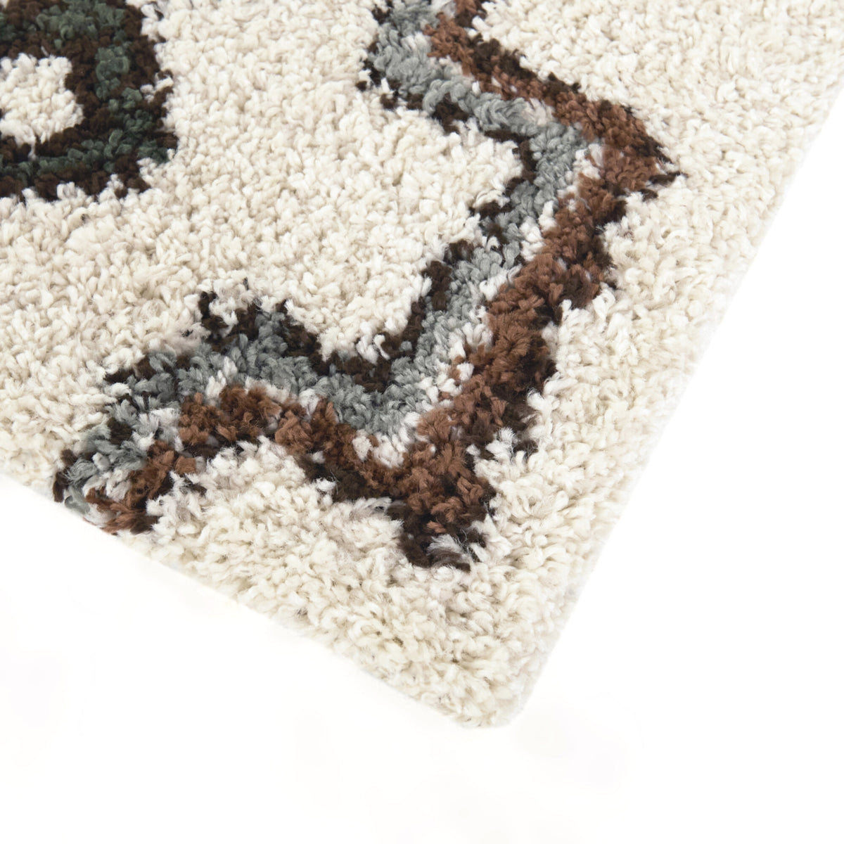 Felipe Southwestern Shag Area Rug