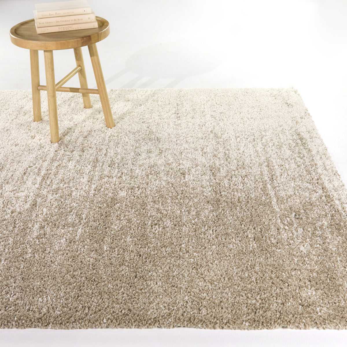 Kenoyer Contemporary  Area Rug