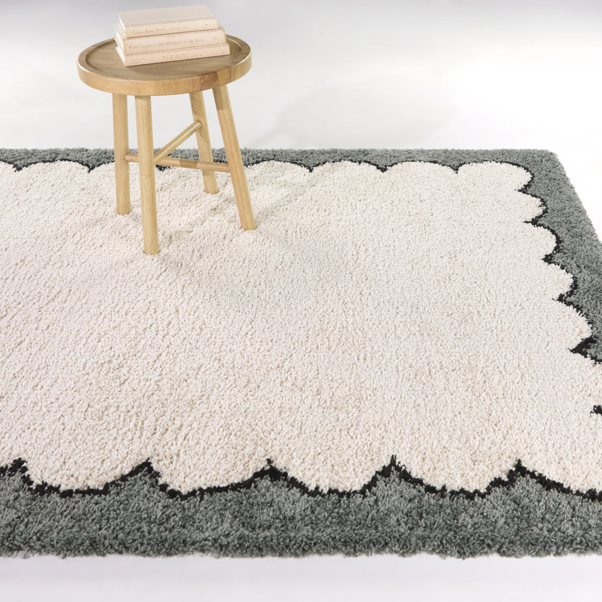 Cayley Modern Border Area Rug