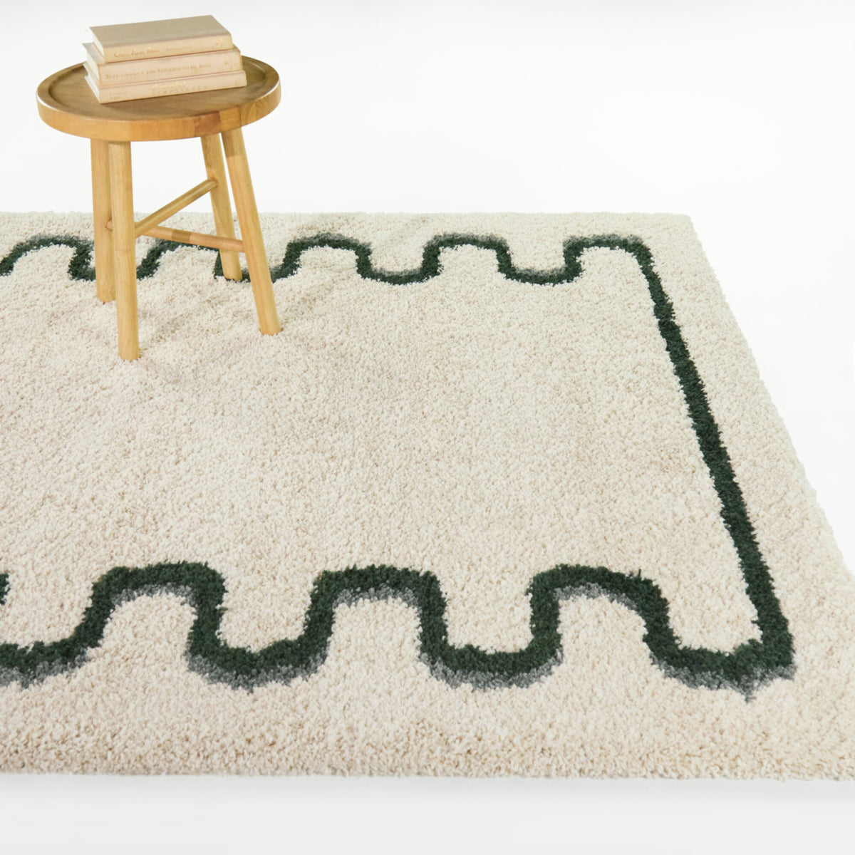 Binford Modern Border Area Rug