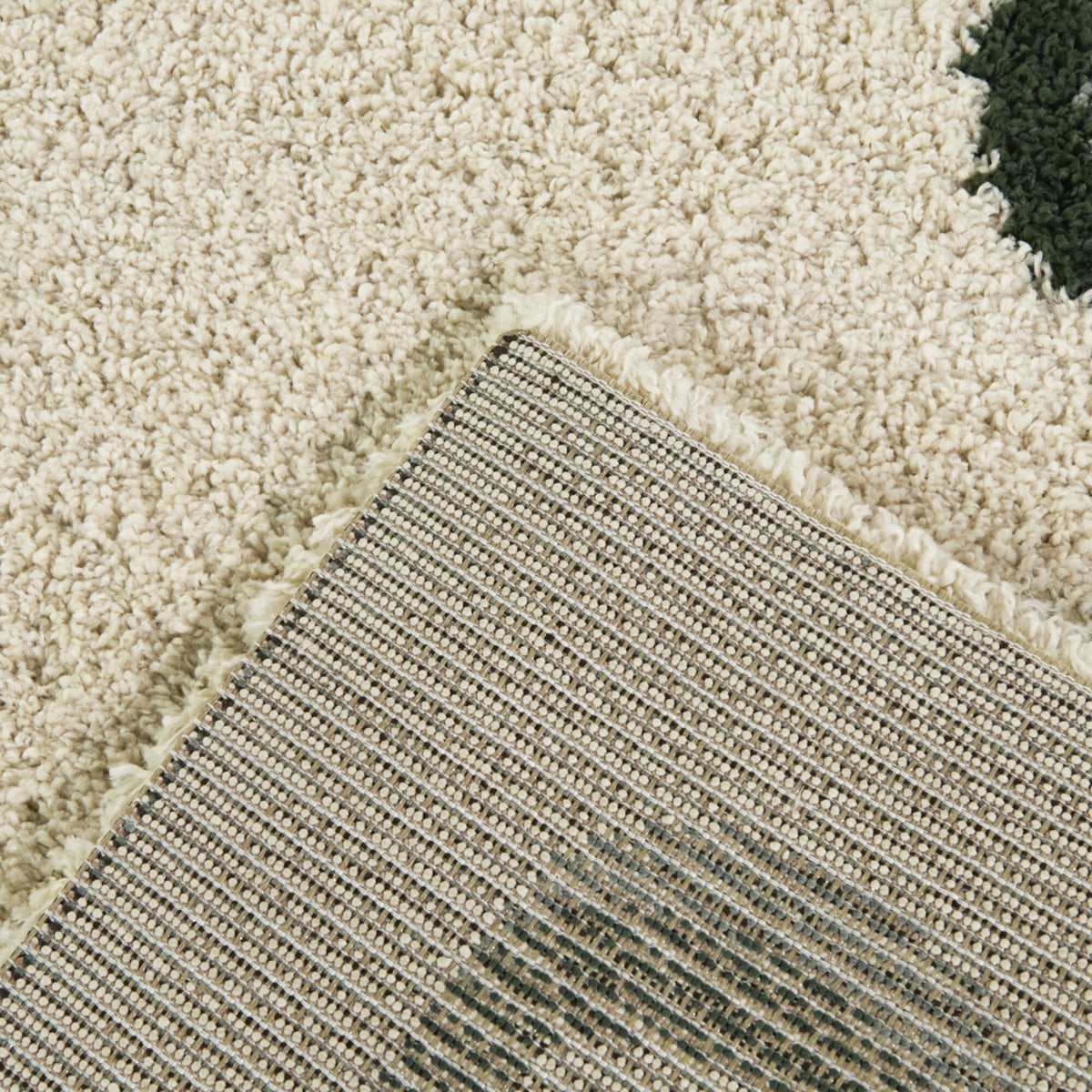 Binford Modern Border Area Rug