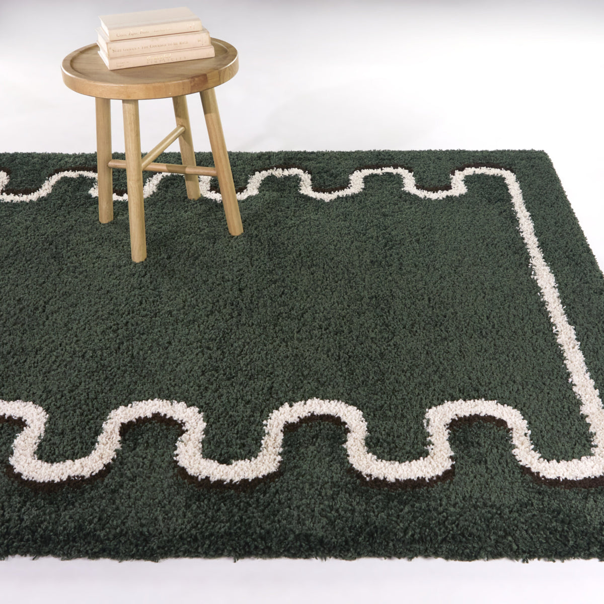 Binford Modern Border Area Rug