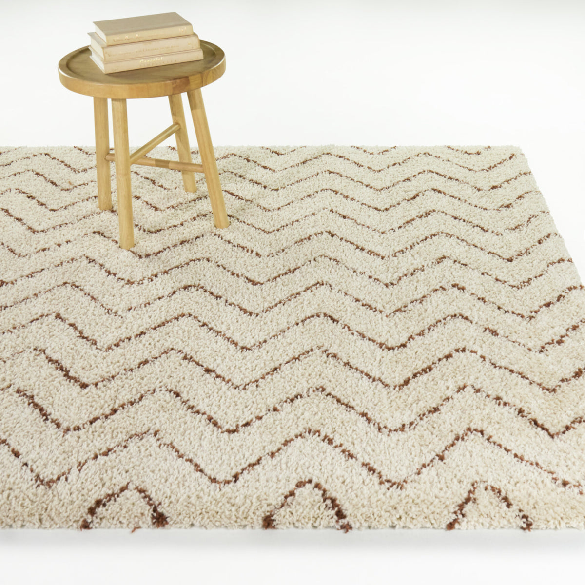 Karr Chevron Shag Area Rug
