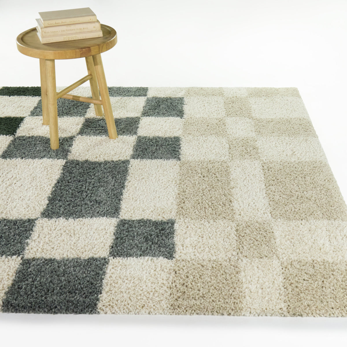 Leslie Checkered Shag Area Rug