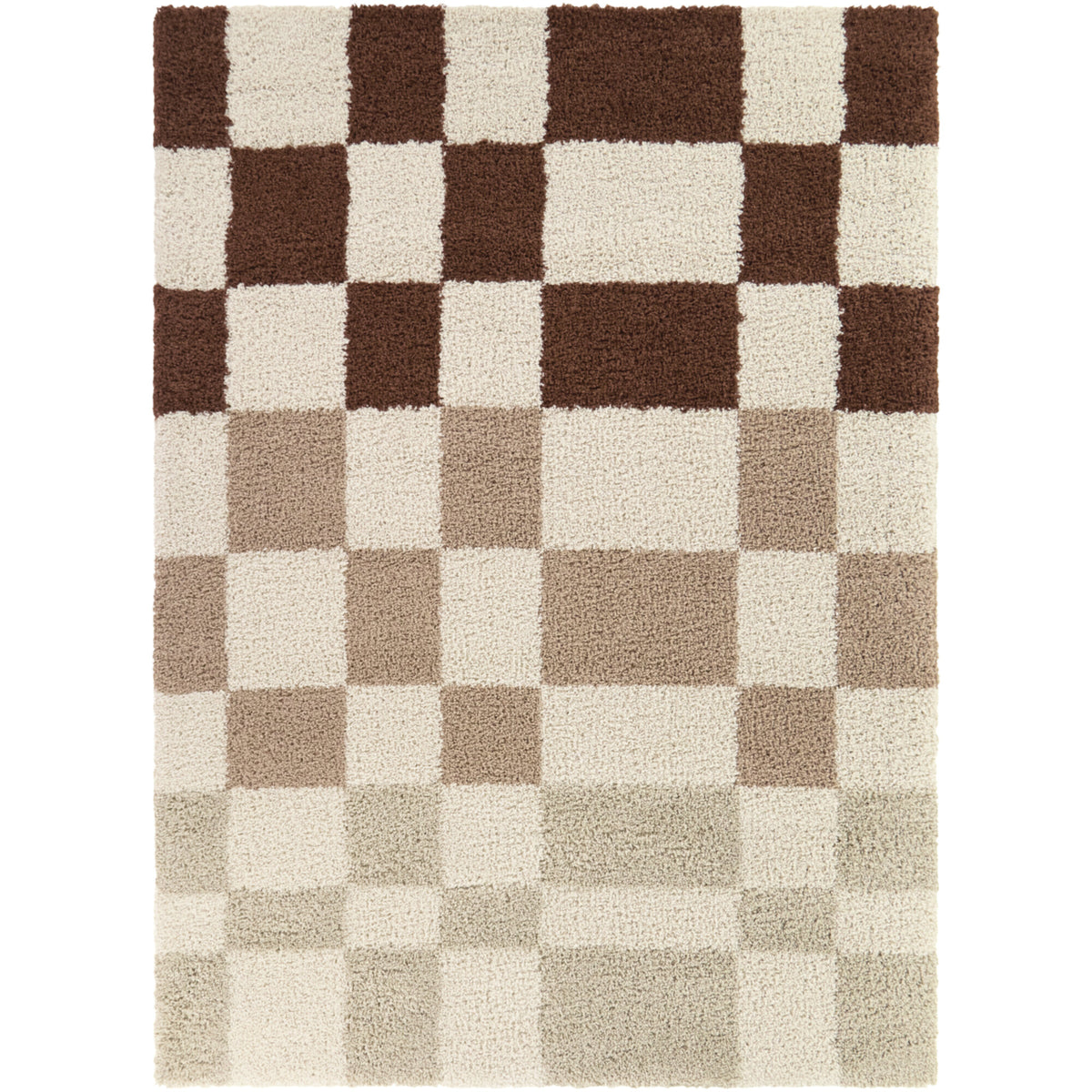 Leslie Checkered Shag Area Rug