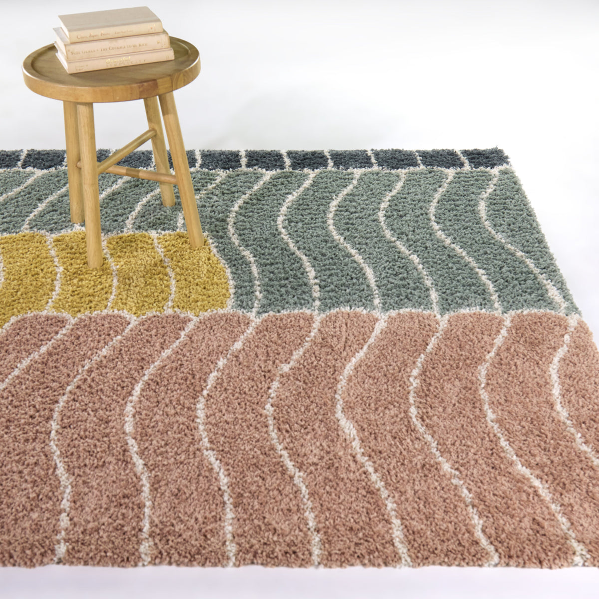 Susanna Abstract Shag  Area Rug