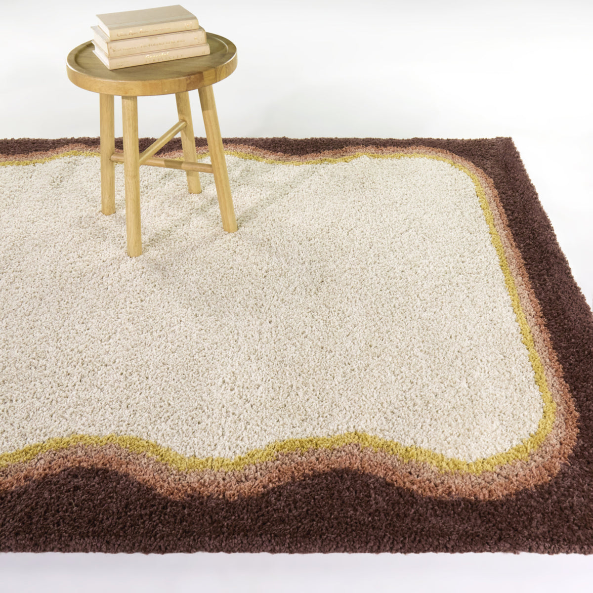 Feinman Border Shag  Area Rug