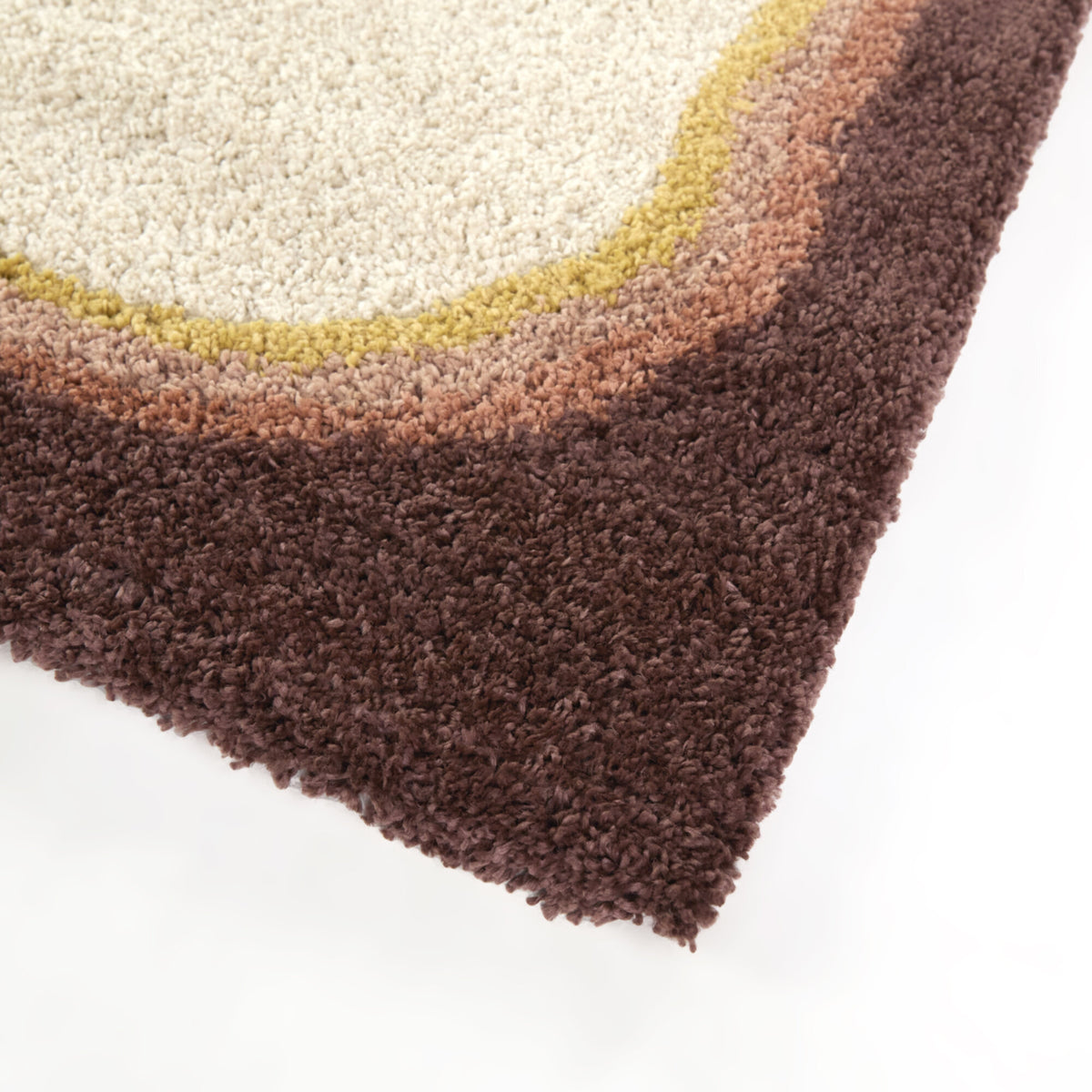 Feinman Border Shag  Area Rug