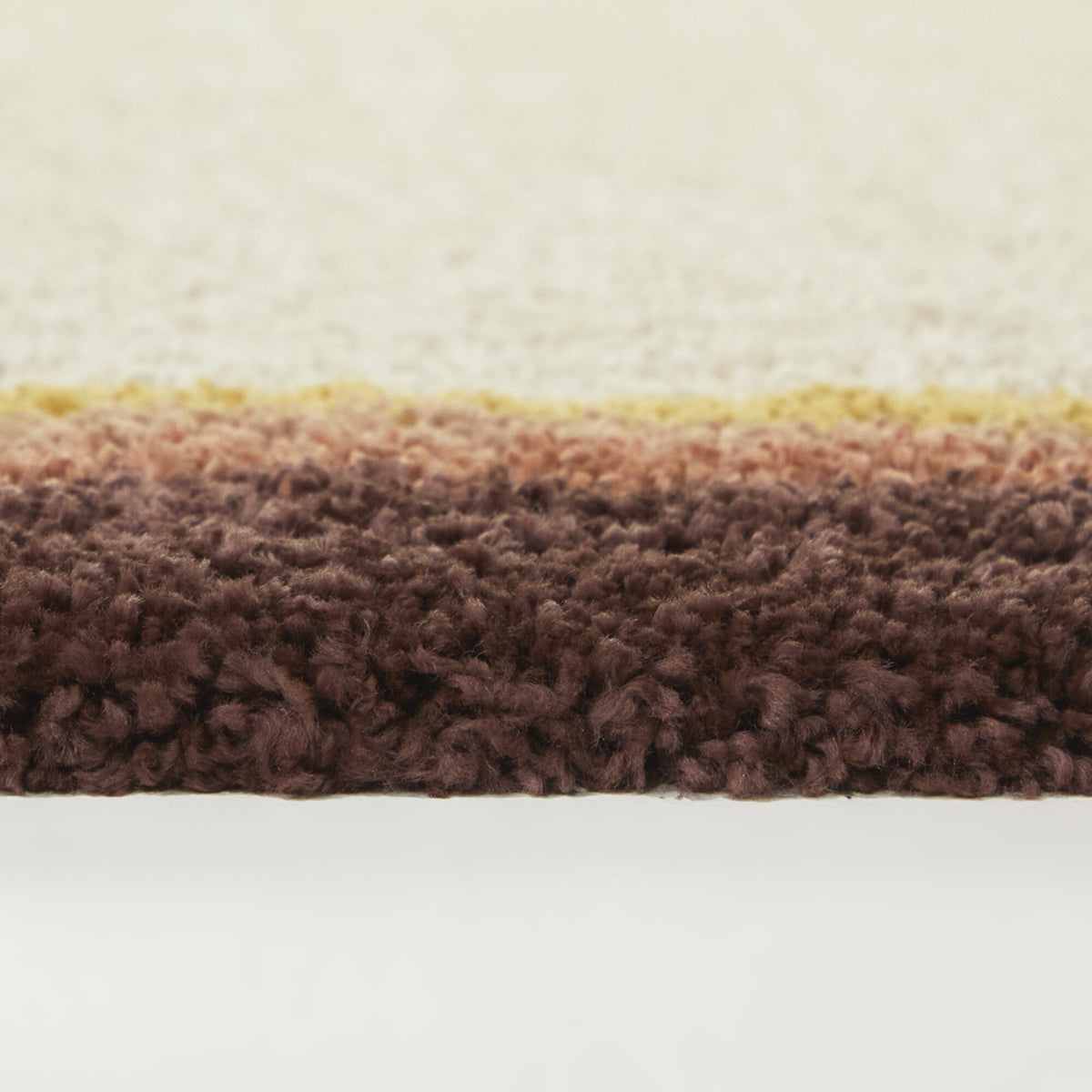 Feinman Border Shag  Area Rug