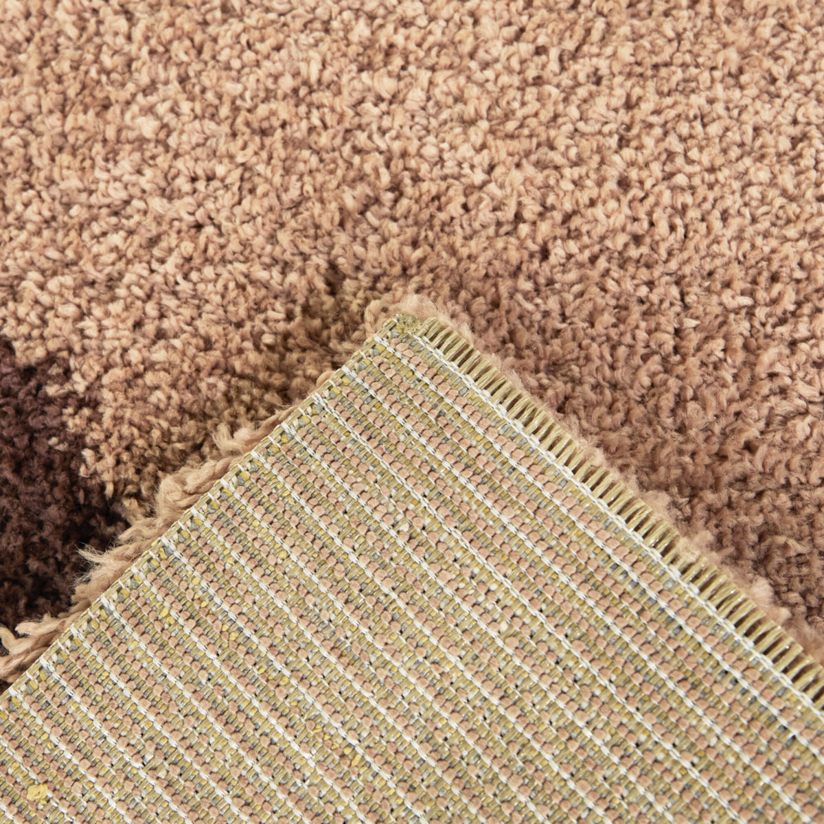 Sylvia Floral Shag Area Rug