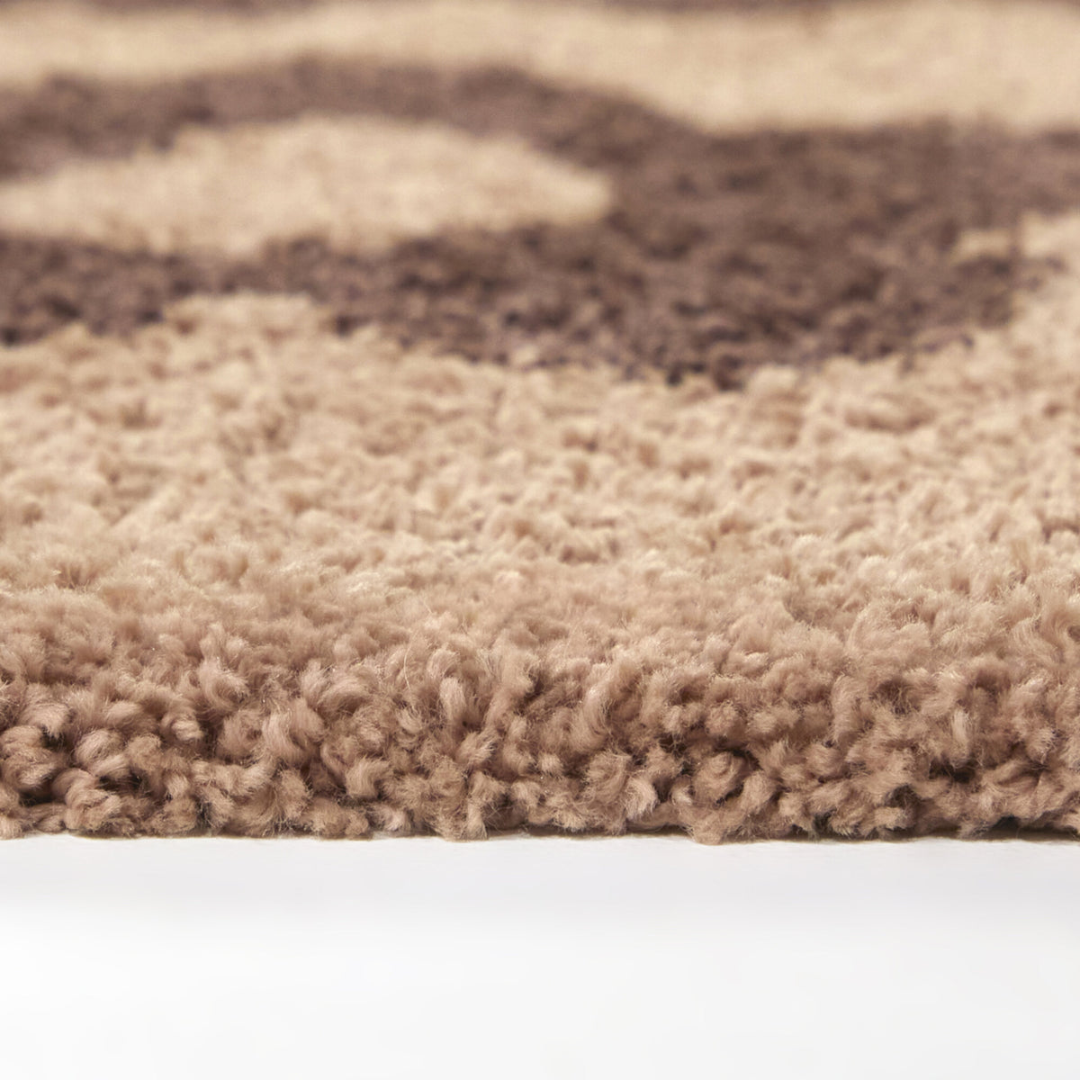 Sylvia Floral Shag Area Rug