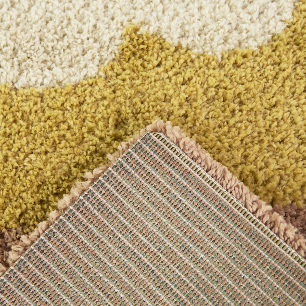 Sylvia Floral Shag Area Rug