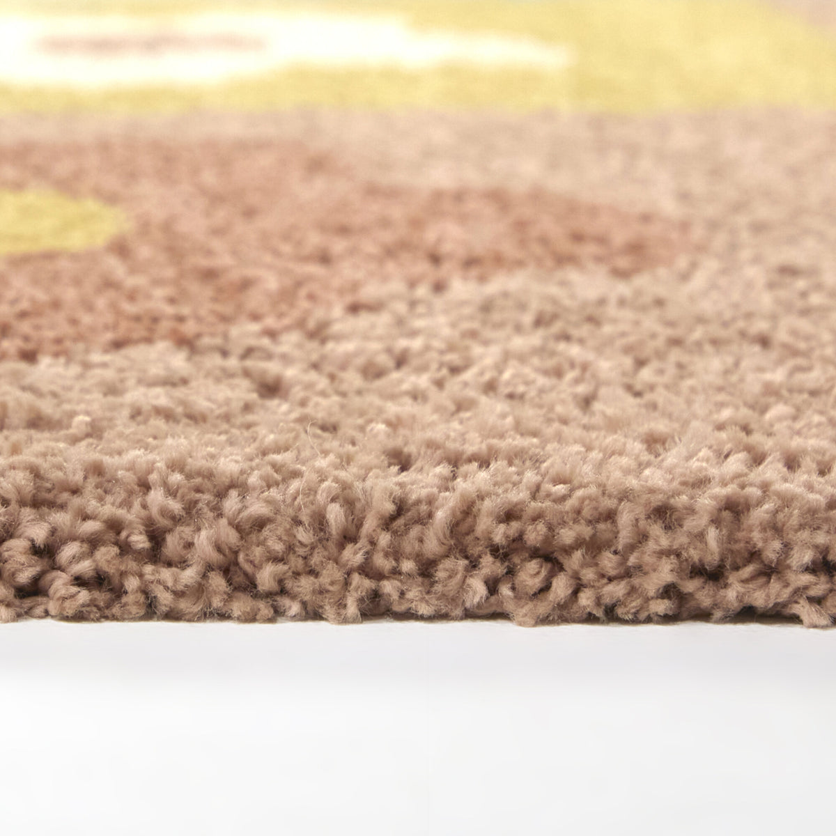 Sylvia Floral Shag Area Rug