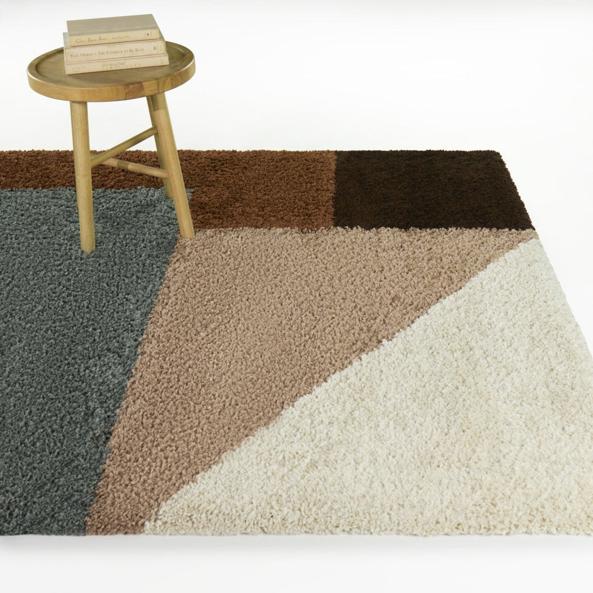 Jordan Color Block Shag Area Rug