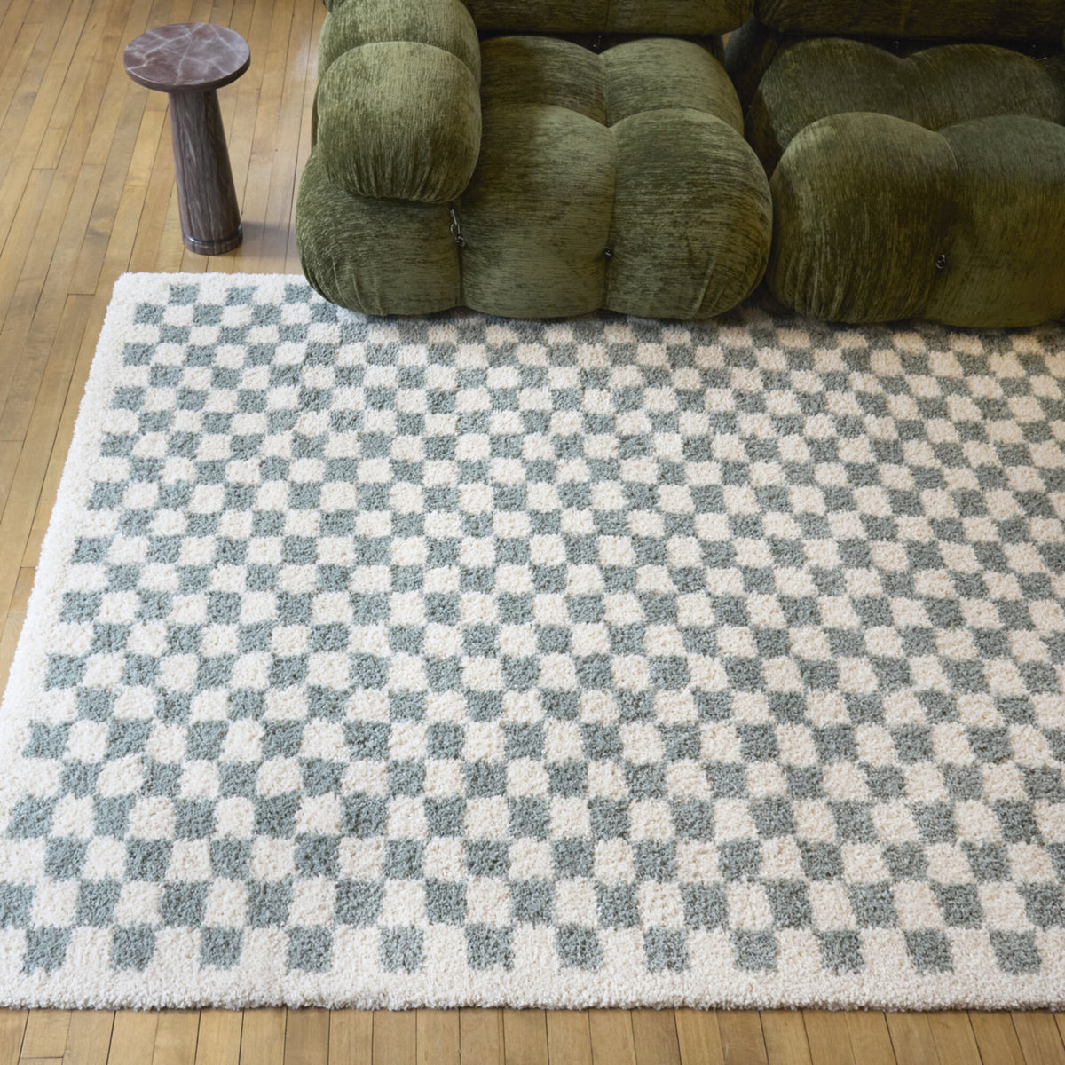 Covey Checkered Shag Area Rug