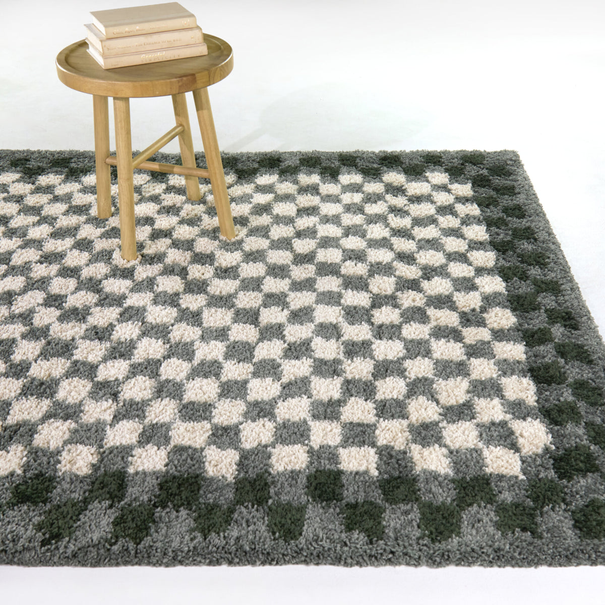 Covey Checkered Shag Area Rug