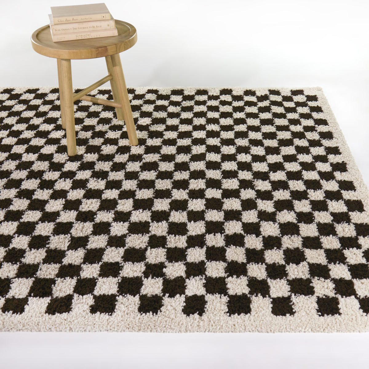 Covey Checkered Shag Area Rug