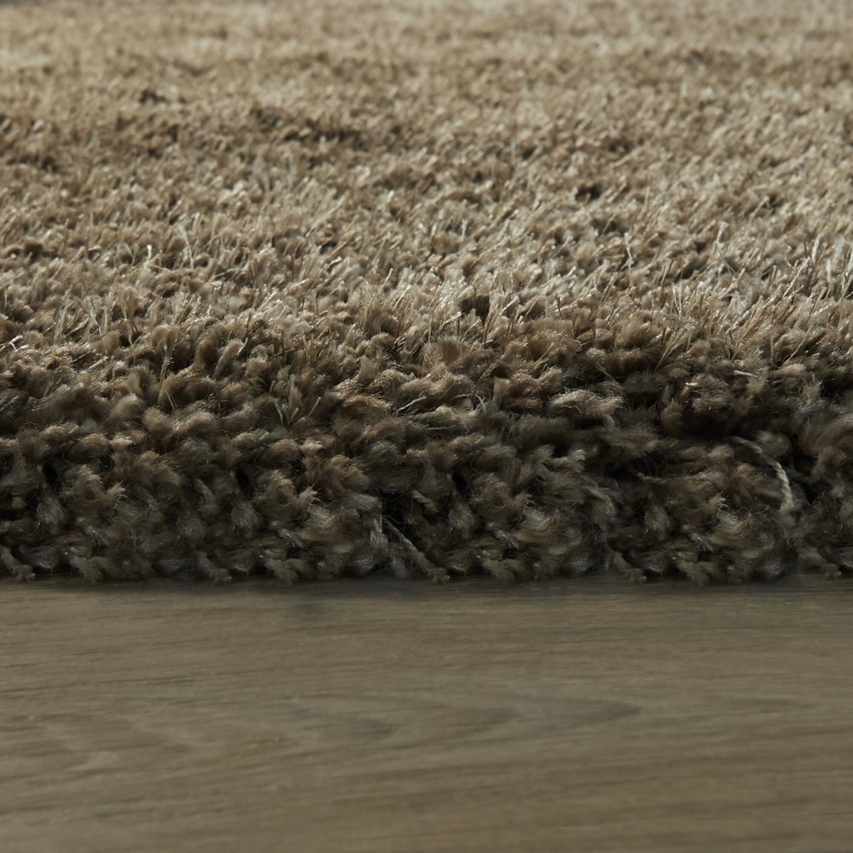 Nouvel Shag Area Rug