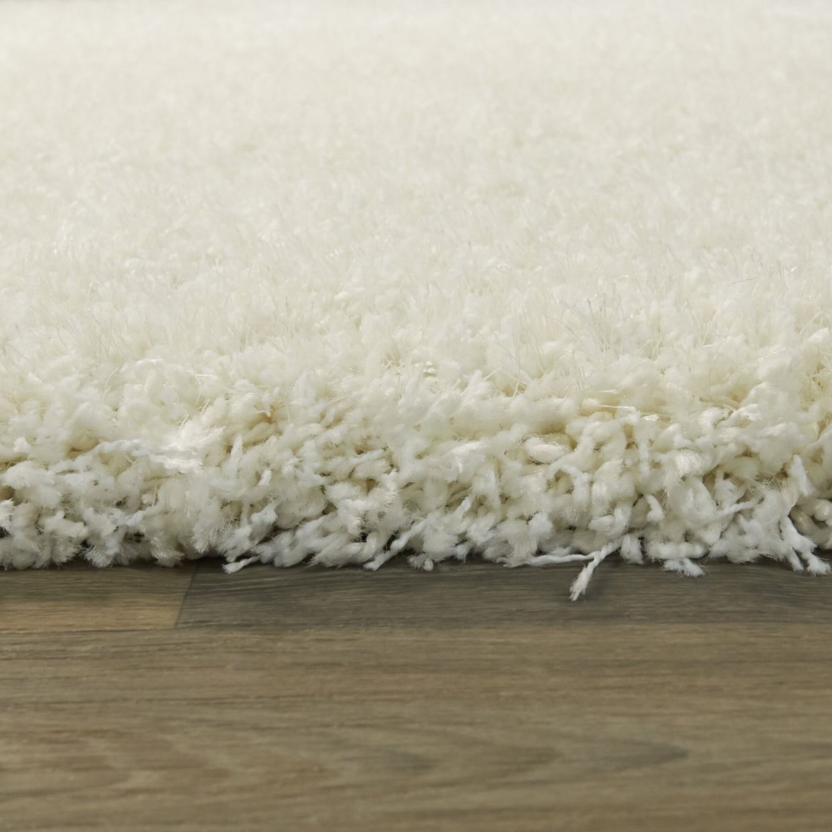 Trevail Solid Shag Area Rug