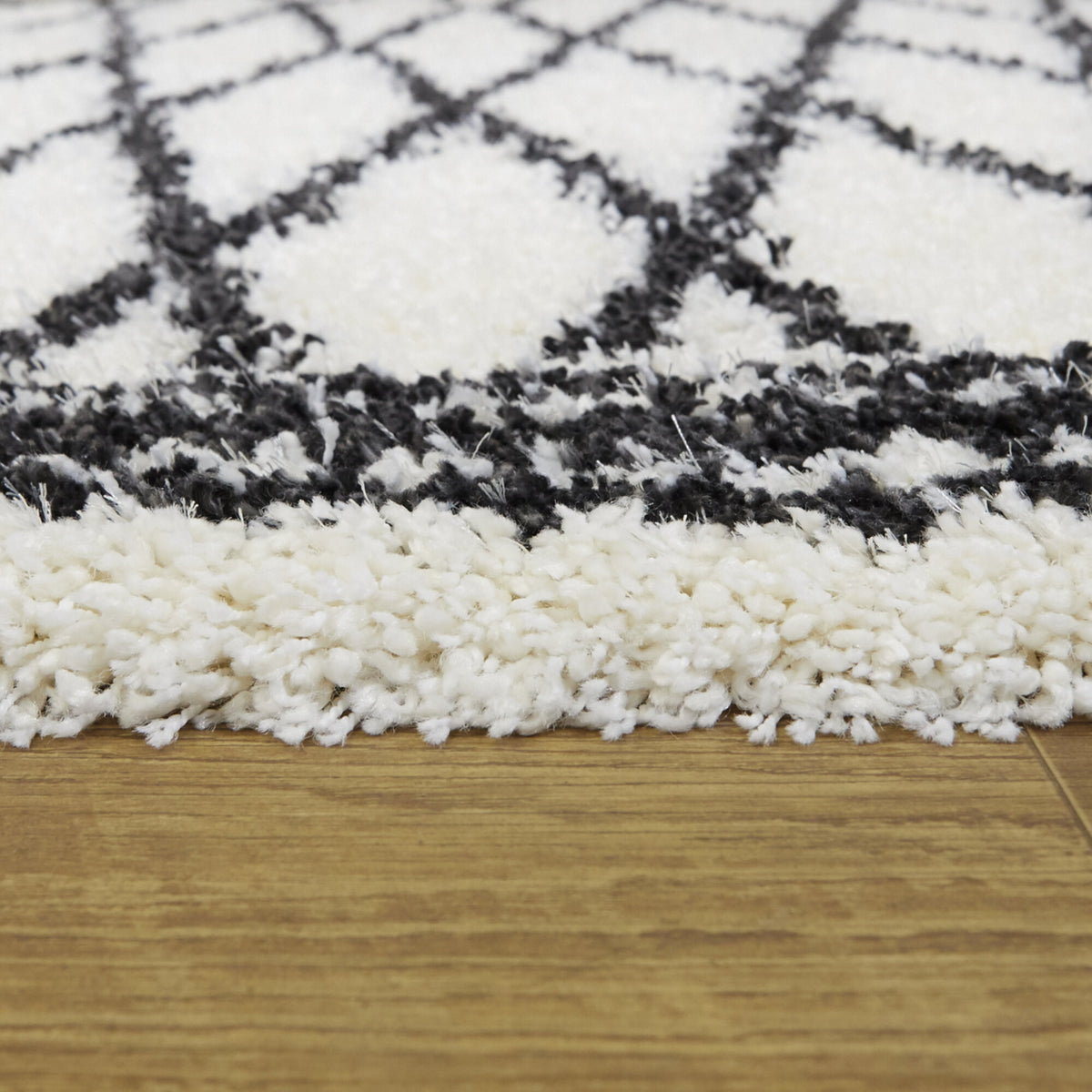 Ivan Transitional Trellis Area Rug