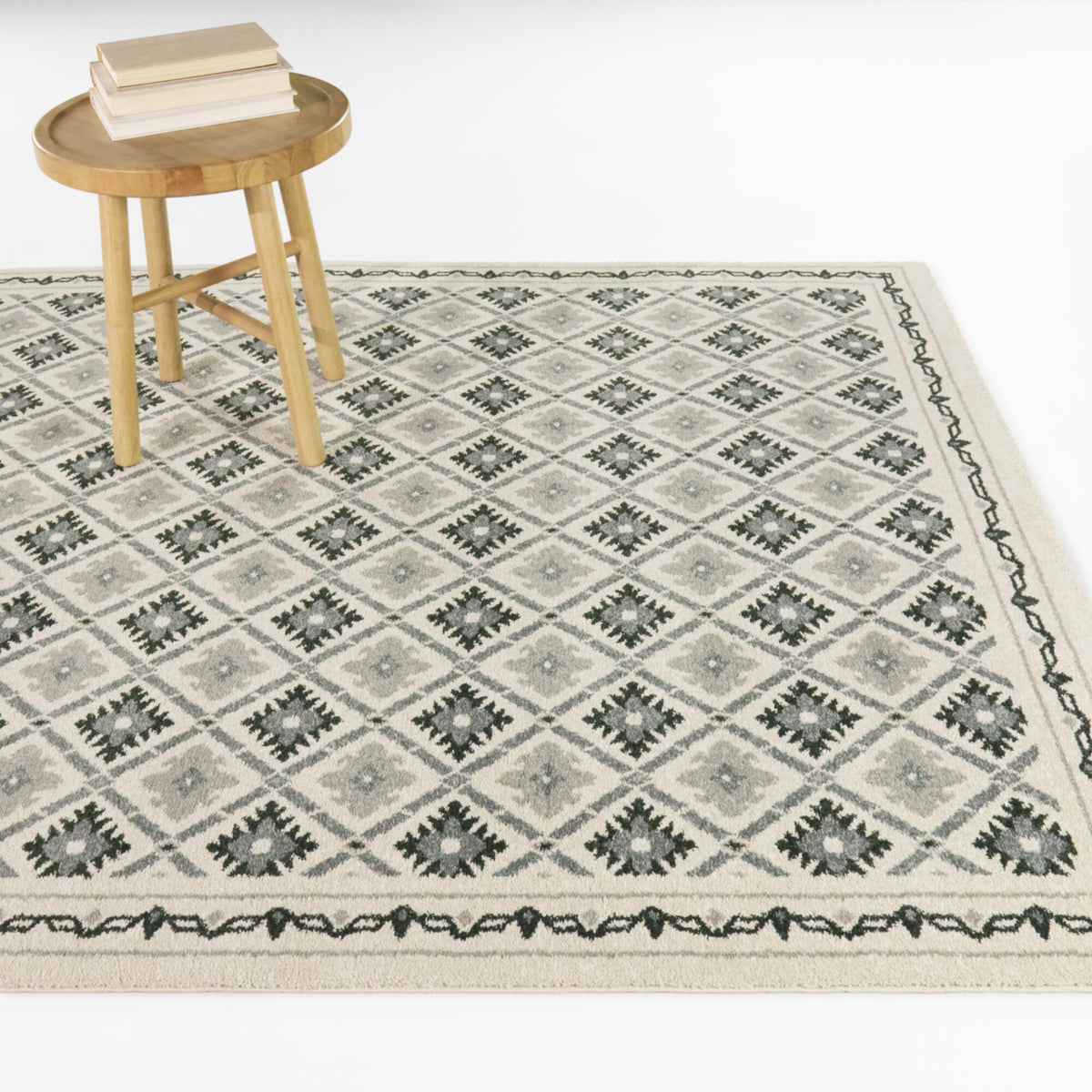 Ansel Transitional Diamond Area Rug