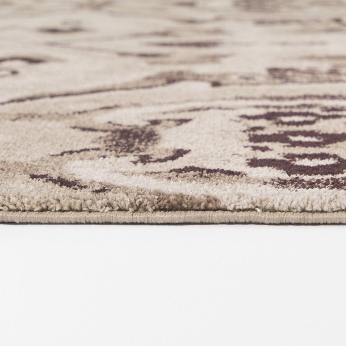 Arcas Botanical Medallion Area Rug