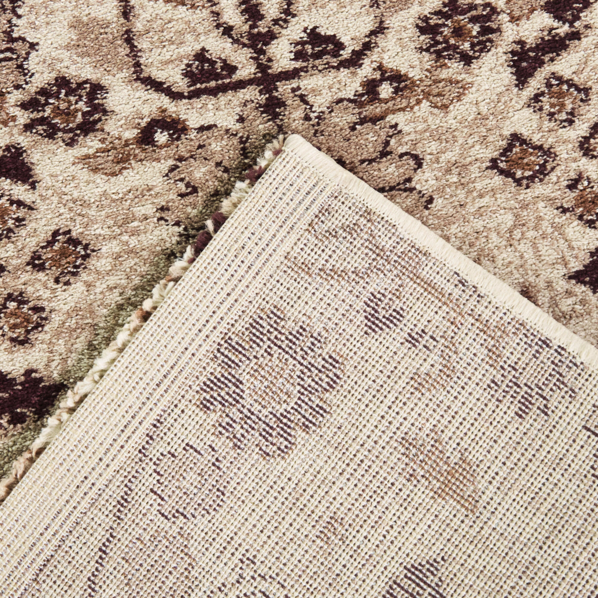 Myron Medallion Trellis Area Rug