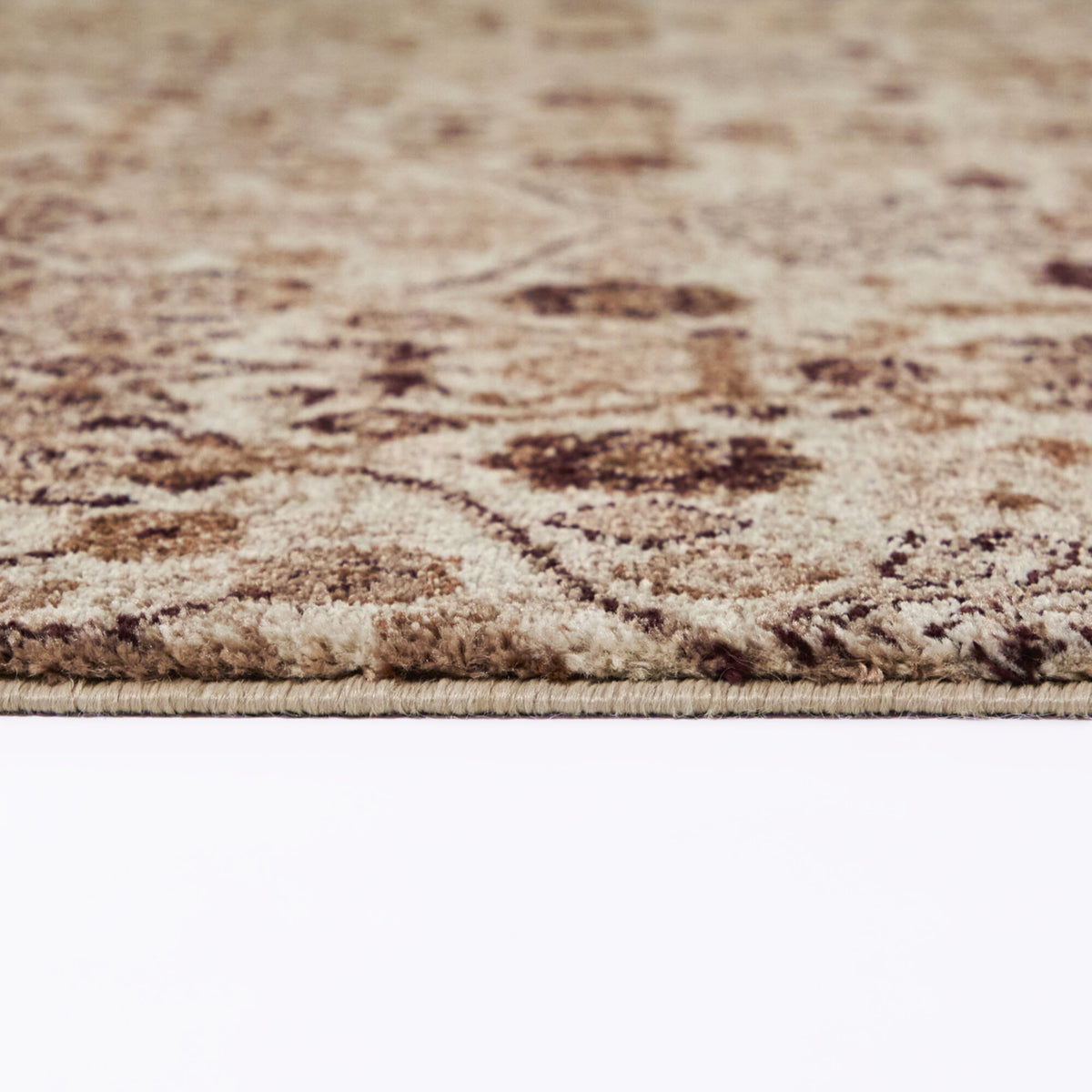 Myron Medallion Trellis Area Rug