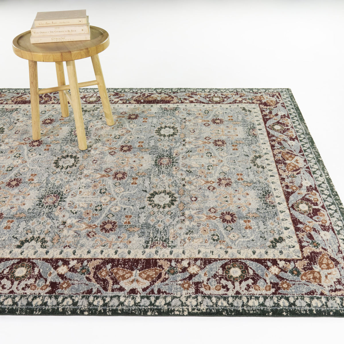 Karlovich Traditional Border Area Rug