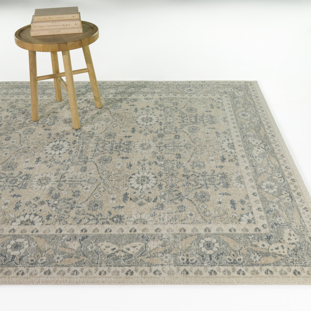Karlovich Traditional Border Area Rug