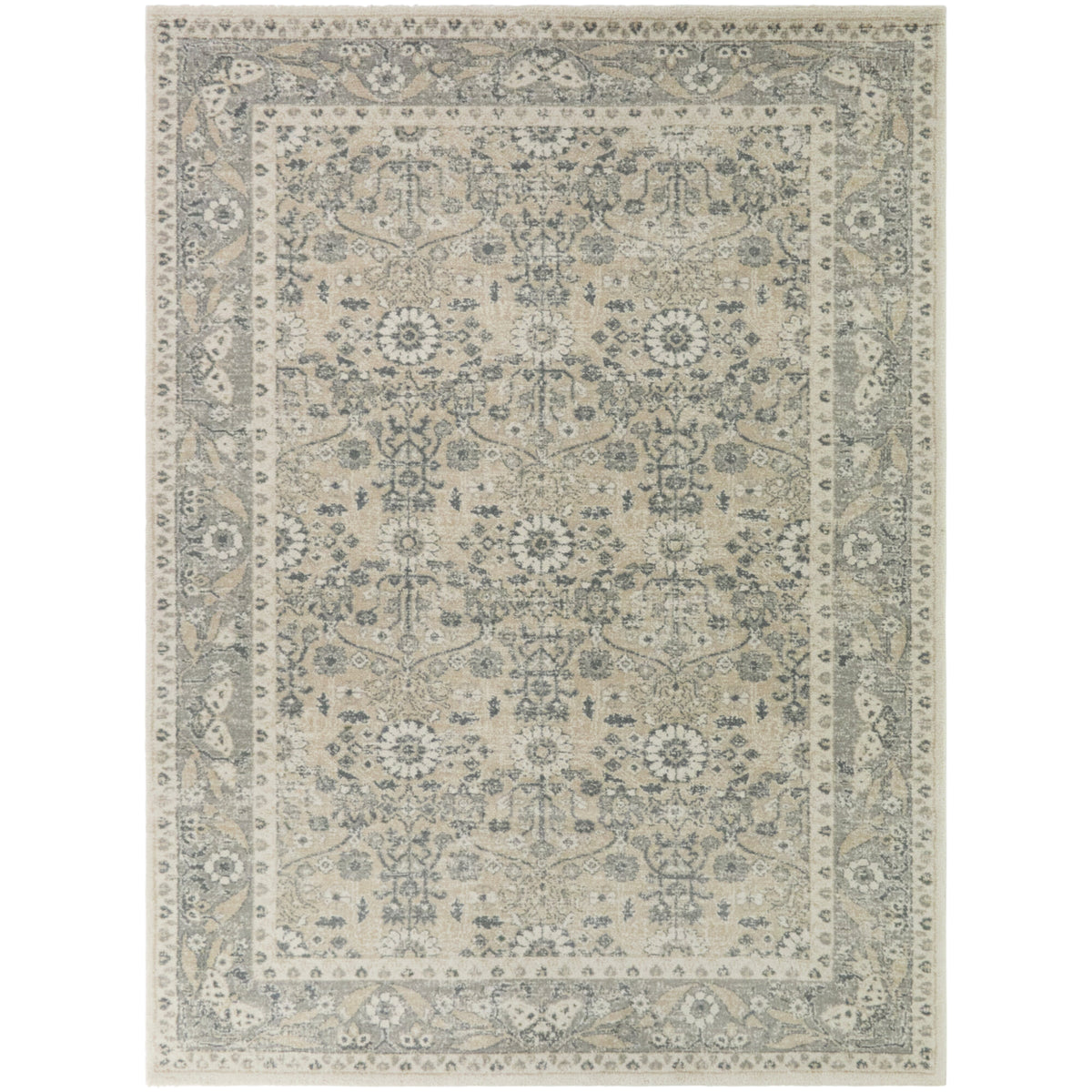 Karlovich Traditional Border Area Rug