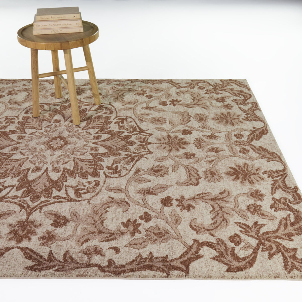 Charlier Traditional Medallion Area Rug