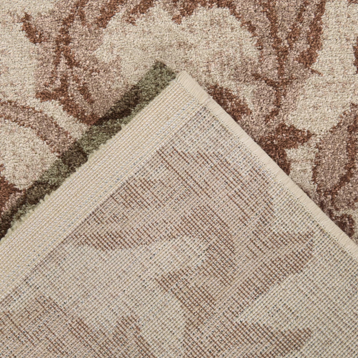 Charlier Traditional Medallion Area Rug