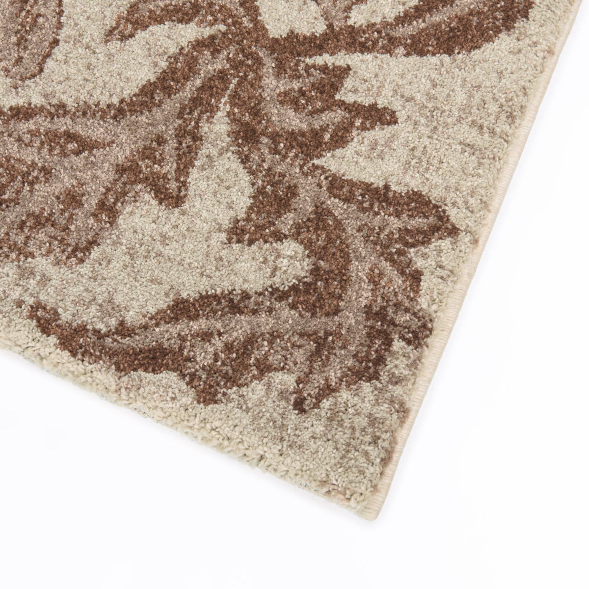 Charlier Traditional Medallion Area Rug