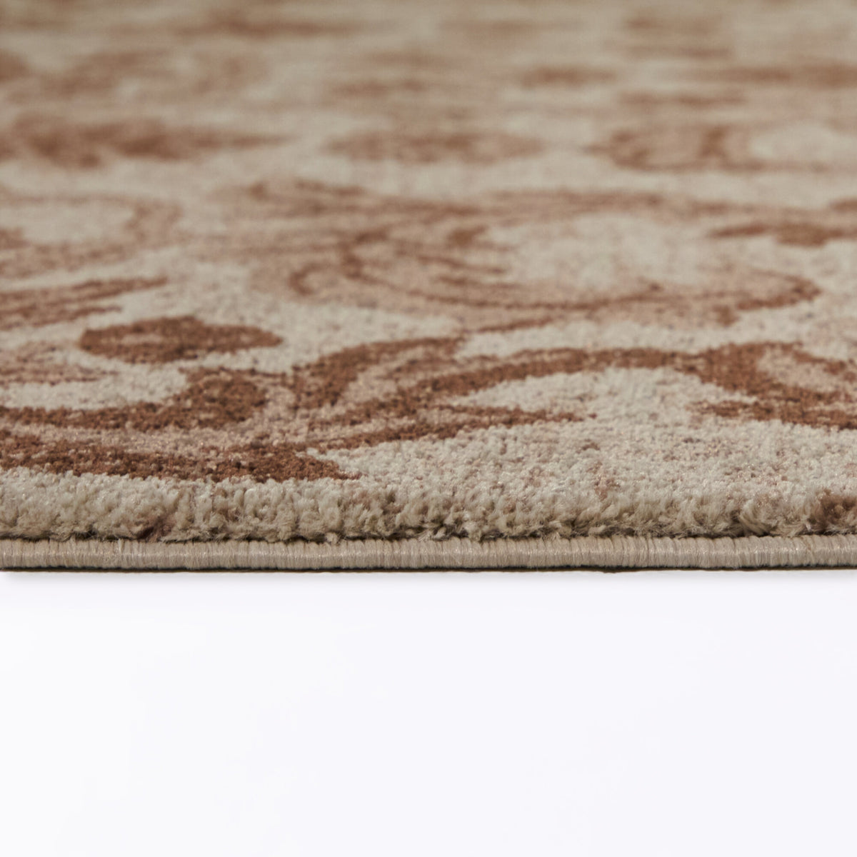 Charlier Traditional Medallion Area Rug