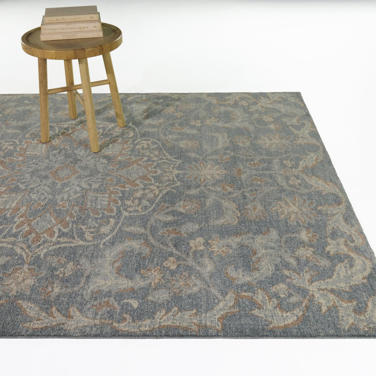Charlier Traditional Medallion Area Rug