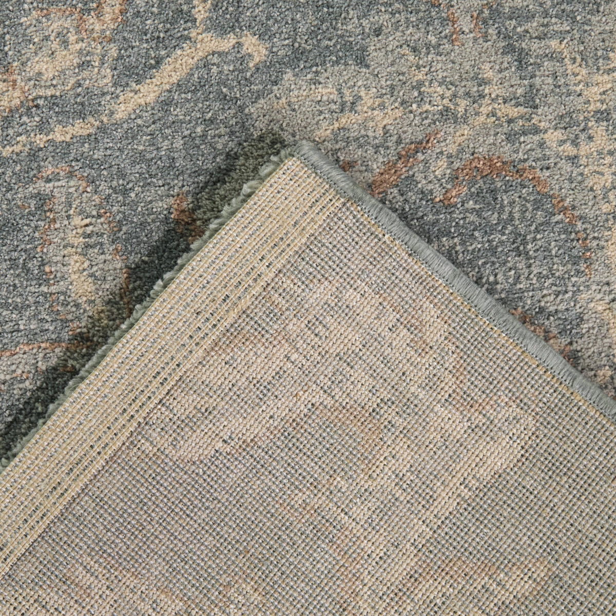 Charlier Traditional Medallion Area Rug