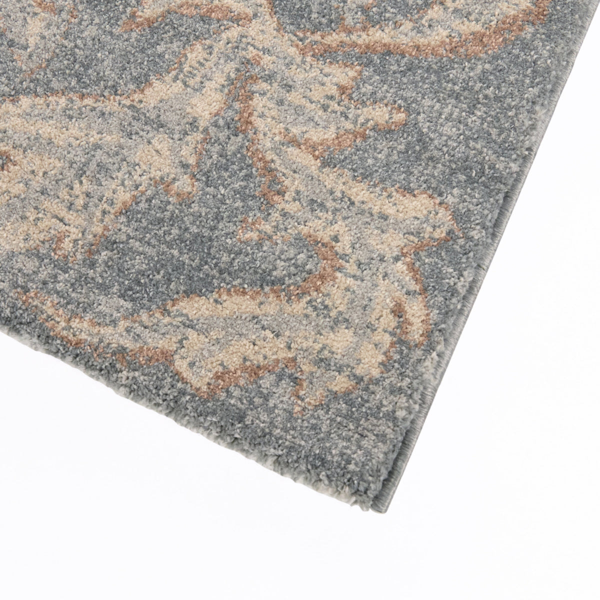 Charlier Traditional Medallion Area Rug