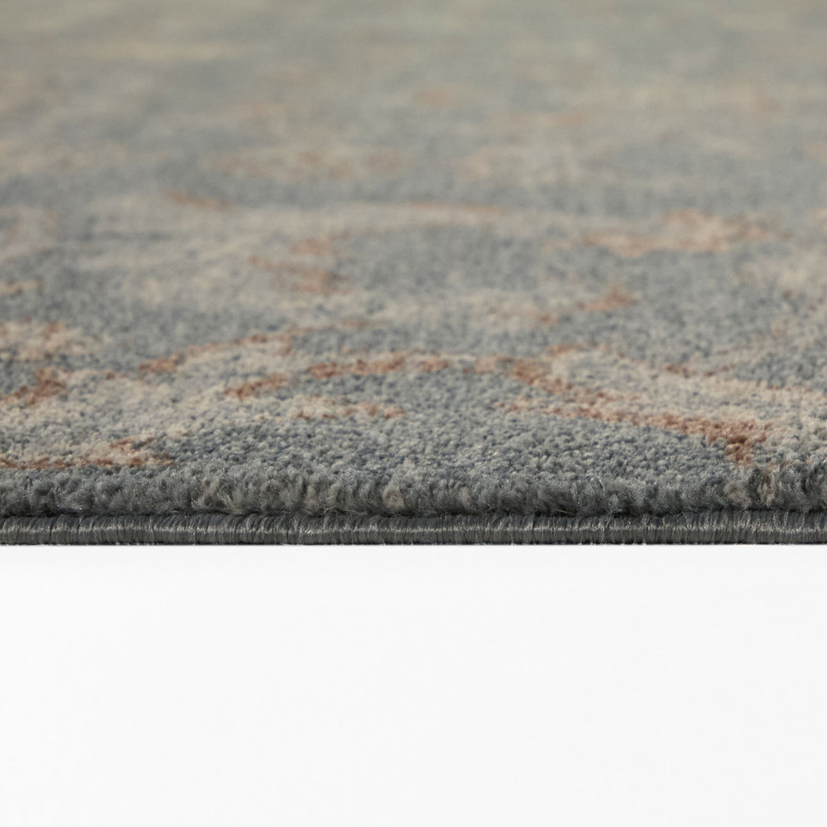 Charlier Traditional Medallion Area Rug