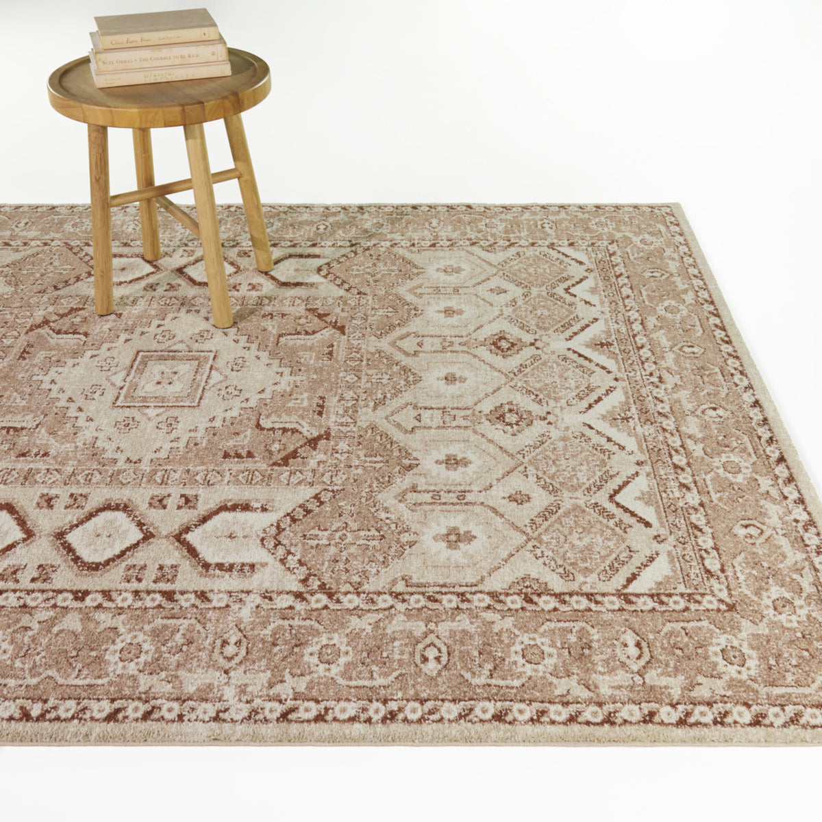 Pradier Southwestern Traditional Area Rug