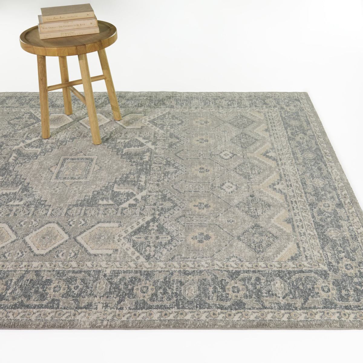 Pradier Southwestern Traditional Area Rug