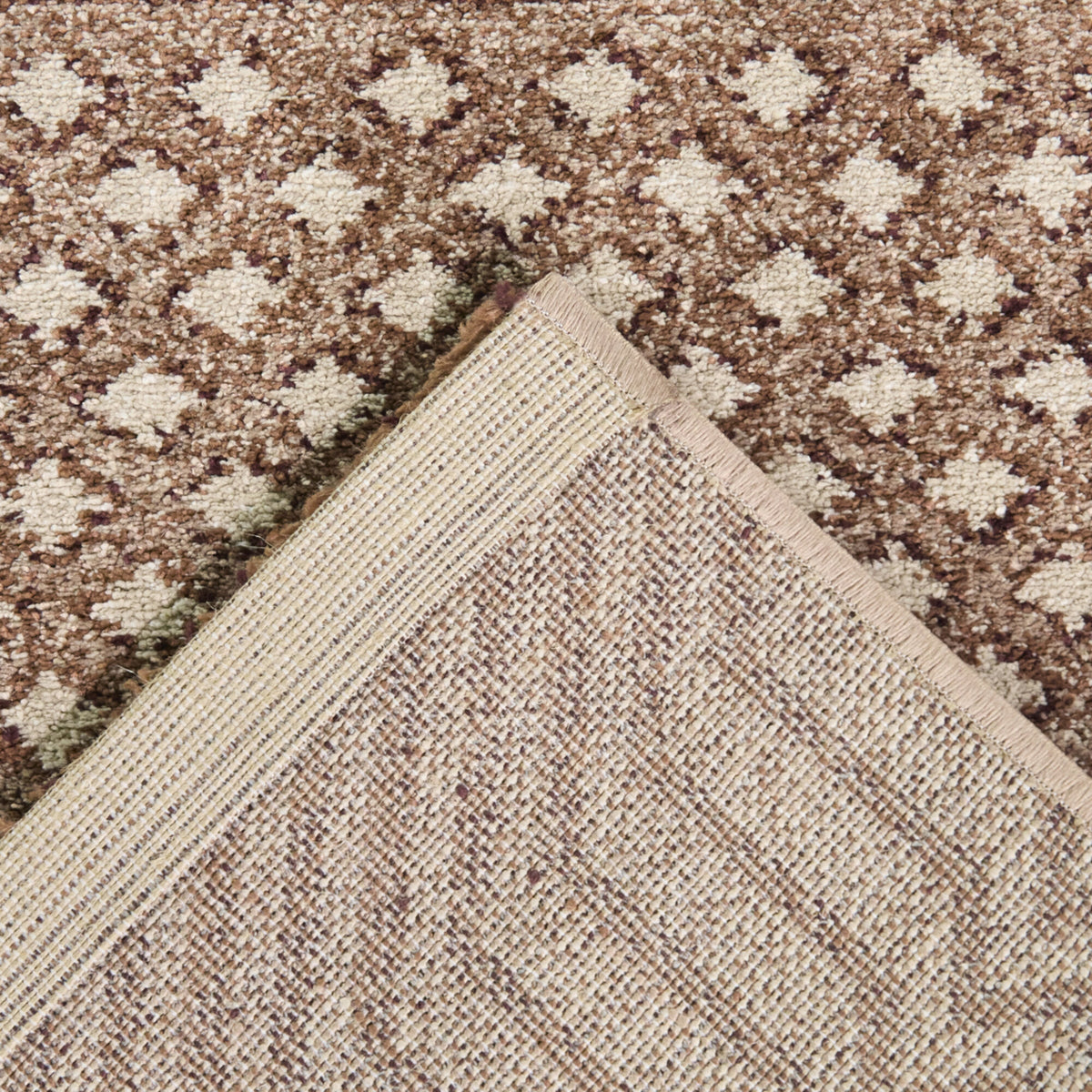 Sabin Chevron Boho Area Rug