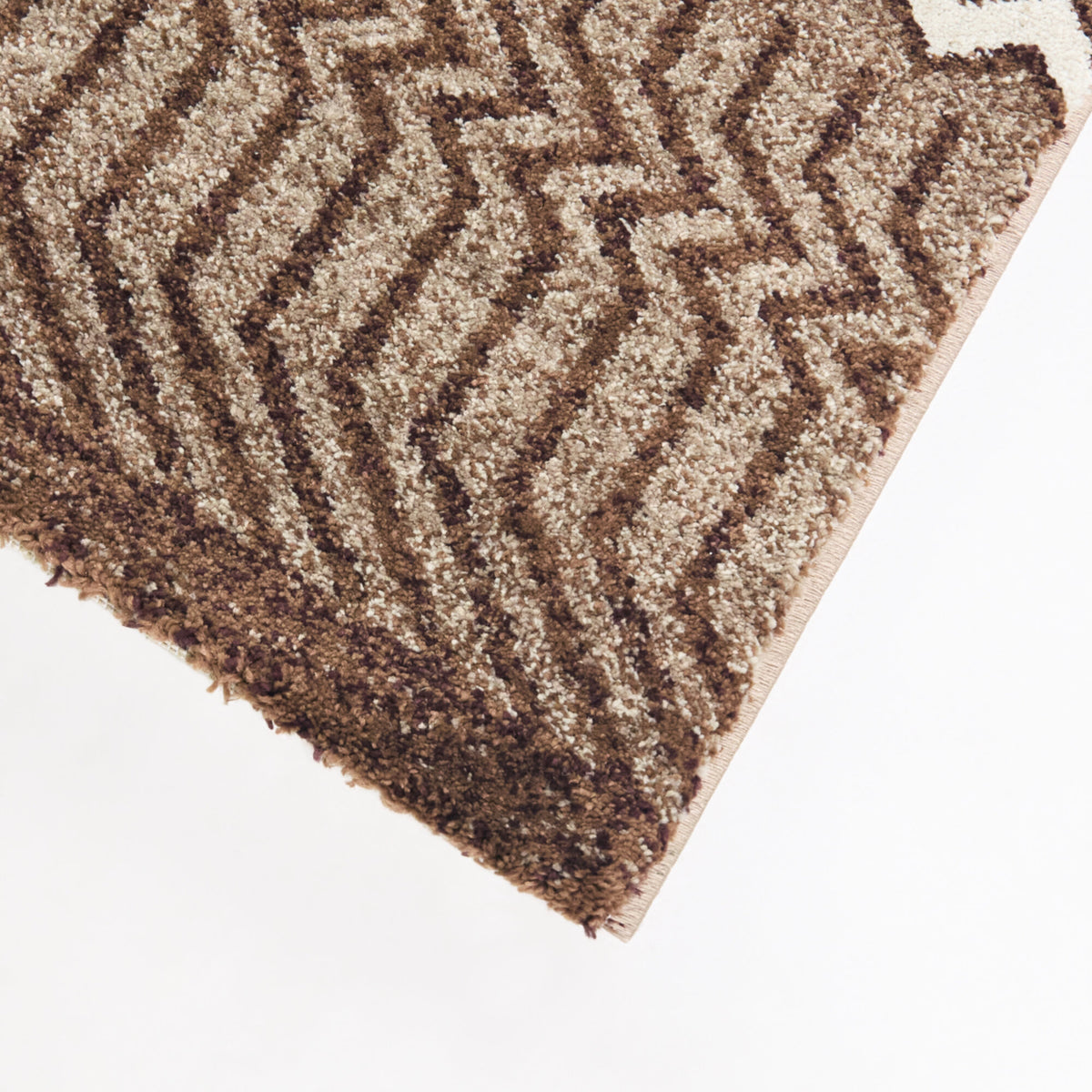 Sabin Chevron Boho Area Rug